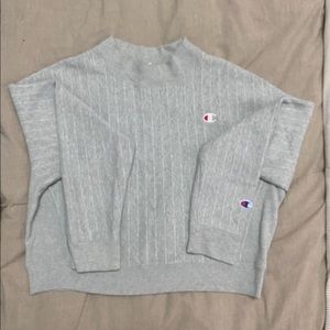 Champion Sweater
